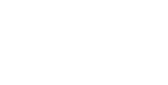 Totem Spirit Marketing